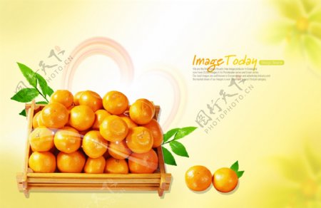 橘子水果素材免费下载