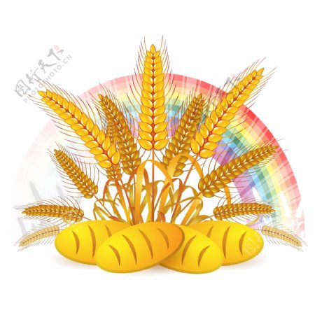 小麦面包彩虹背景矢量图
