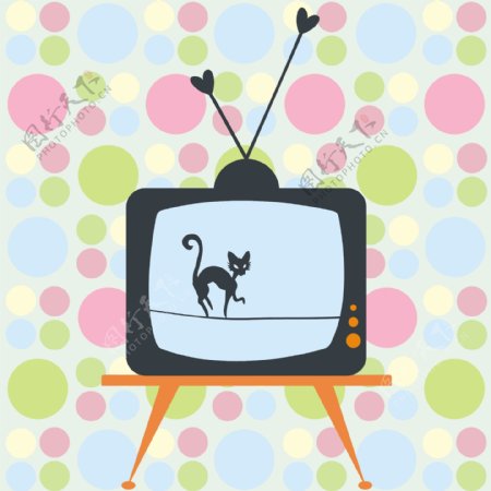电视机里的小猫