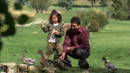 父亲和女儿走近池塘5股票的录像视频免费下载