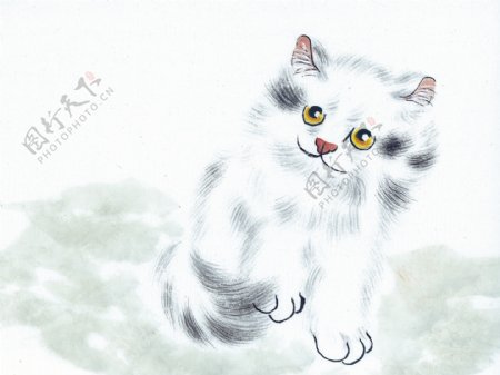 猫咪病猫花猫小猫动物可爱家猫中华艺术绘画
