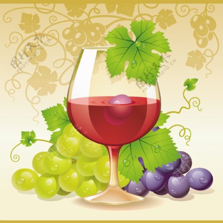 葡萄与葡萄酒矢量图