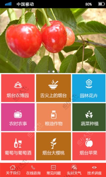 食品果蔬公司APP功能首页UI设计