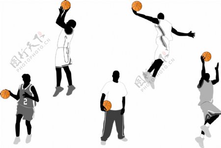篮球的性格特征和行为矢量素材
