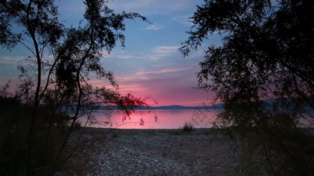 加利利海的树在日落通过4股的录像视频免费下载