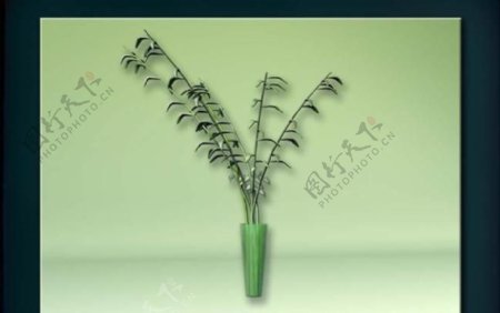 装饰构件之植物3D模型植物016