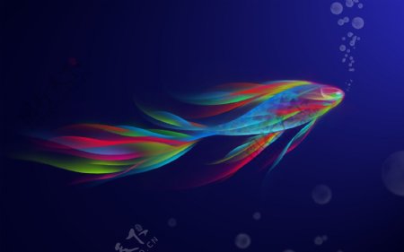 抽象彩色的鱼
