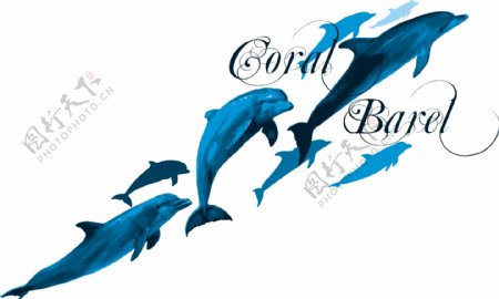 印花矢量图动物鱼海豚文字免费素材
