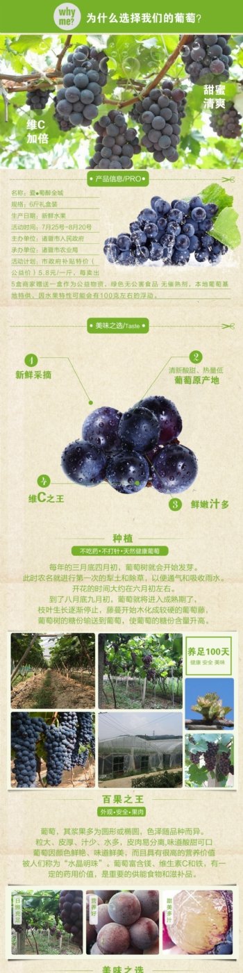水果葡萄节详情