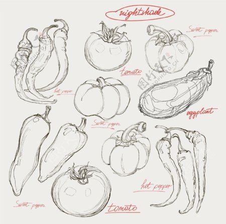 素描蔬菜