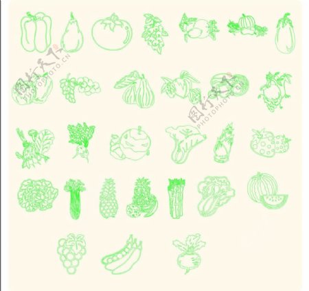 蔬菜和水果矢量图片