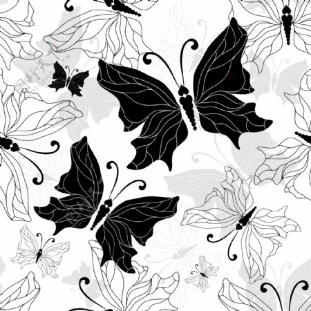 黑色和白色的手绘蝴蝶矢量素材