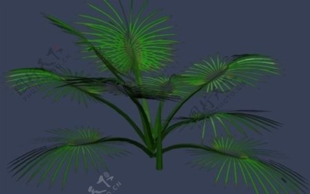 max3d模型花池树池图片