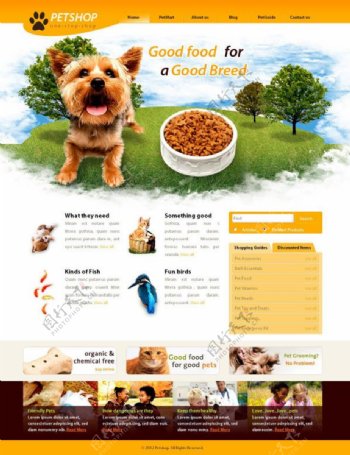 宠物店网站模板CSS