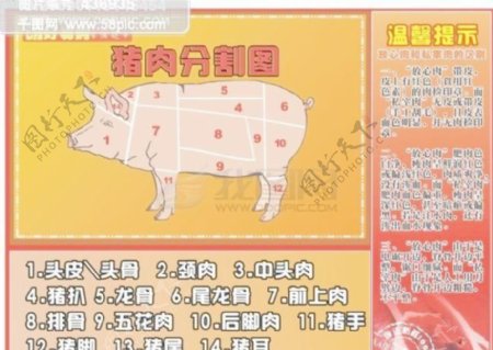 商场猪肉分割图设计