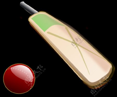 cricket02