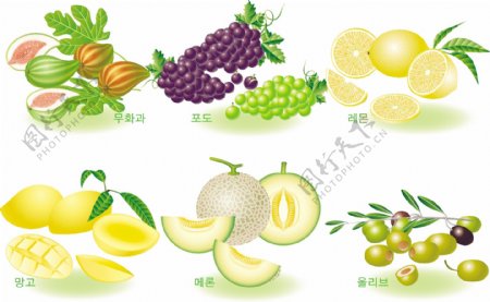6种水果图片