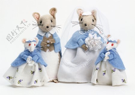老鼠玩偶老鼠婚礼图片