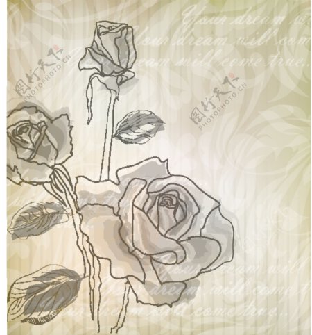 纸张手绘玫瑰花