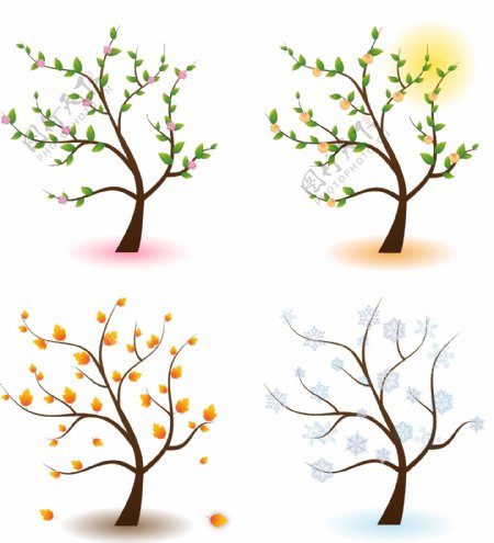 树的四季变化
