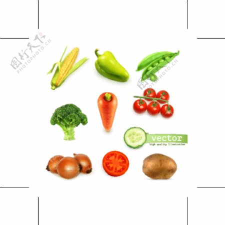 蔬菜背景矢量素材