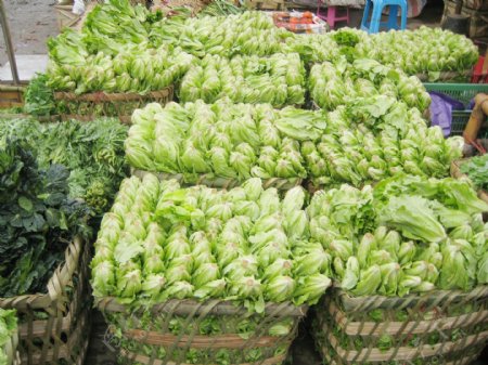 蔬菜批发市场照片图片