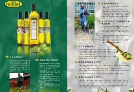 橄榄油单页图片