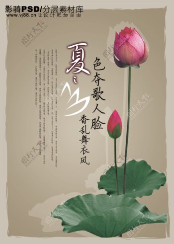 中国风PSD海报素材茶花