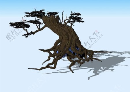 古树3D模型
