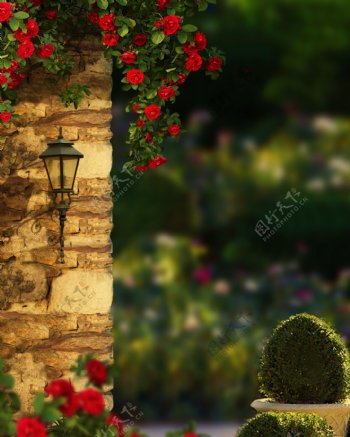 欧式花园洋房惬意时光图片