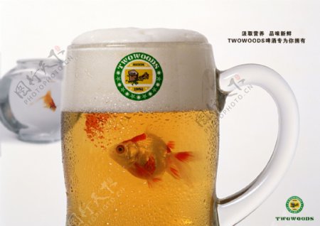 有小金鱼的啤酒广告图片