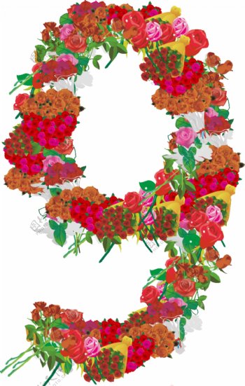 玫瑰花组成的数字9图片