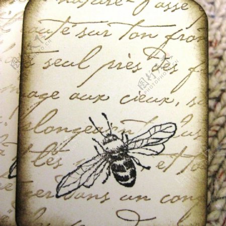 吊牌文字英文动物蜜蜂免费素材