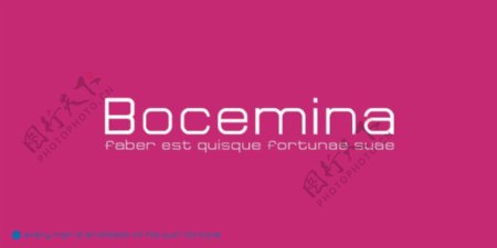 bocemina字体