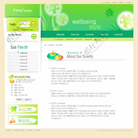 韩国美丽的企业网页免费网站模板图片