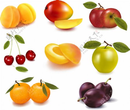 8种水果矢量素材