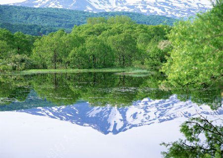 高山流水