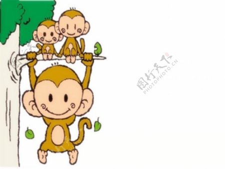 小猴子幻灯片PPT模板