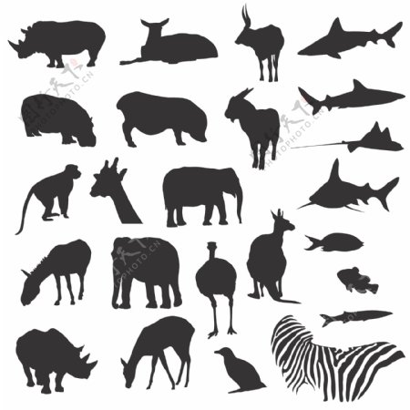 各种陆地和海洋动物的黑白剪影矢量素材