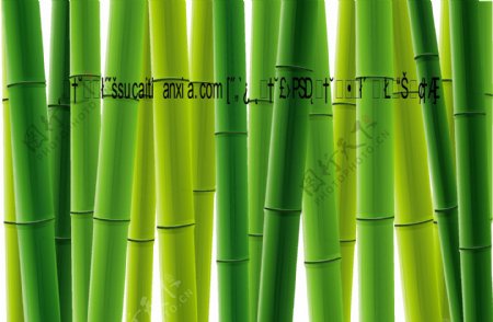 矢量翠绿竹子图片素材