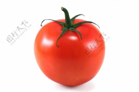 西红柿蔬菜图片