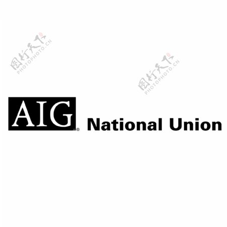 AIG民族联盟