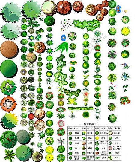 植物平面图集素材