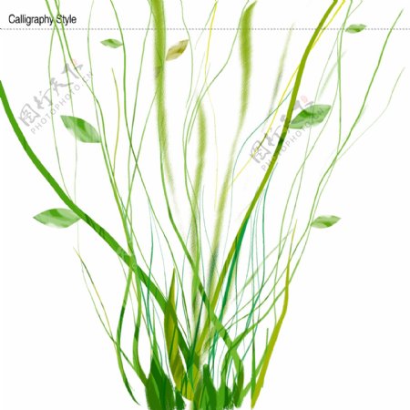 植物花纹PSD文件