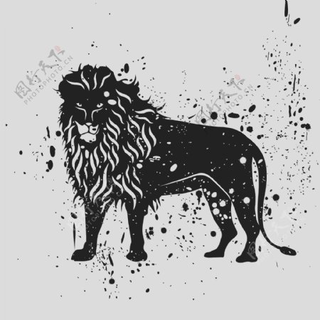 印花矢量图T恤图案野生动物狮子色彩免费素材