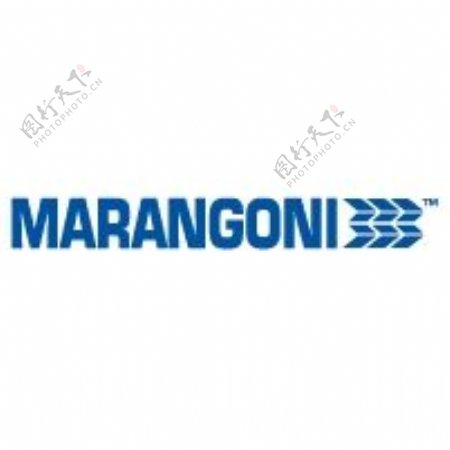 Marangoni轮胎公司