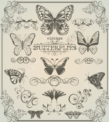 蝴蝶图案1矢量