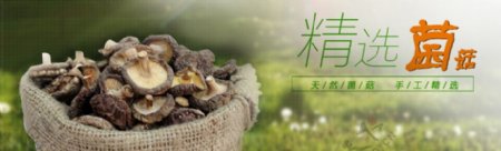 淘宝食品海报菌菇类天然绿色