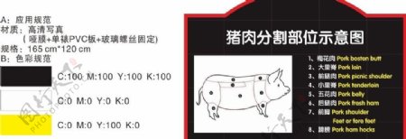 猪肉猪肉分割图图片