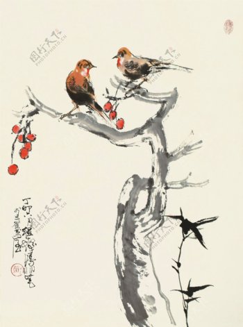 红果小鸟图片